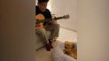 Un perro duerme mientras su dueño le toca canciones de cuna. Un perro duerme mientras su dueño le toca canciones de cuna.