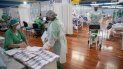 Personal de salud trabaja en un hospital de campaña construido dentro de un gimnasio para tratar a pacientes con COVID-19 en Santo Andre, en las afueras de Sao Paulo, Brasil, el martes 9 de junio de 2020. Personal de salud trabaja en un hospital de campaña construido dentro de un gimnasio para tratar a pacientes con COVID-19 en Santo Andre, en las afueras de Sao Paulo, Brasil, el martes 9 de junio de 2020.