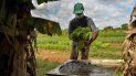 Un hombre lava una lechuga cultivada en los terrenos de su casa en Bahía Honda, en la occidental provincia de Artemisa, en medio de la crisis de alimentos acrecentada por la pandemia de COVID-19, en junio de 2020. Un hombre lava una lechuga cultivada en los terrenos de su casa en Bahía Honda, en la occidental provincia de Artemisa, en medio de la crisis de alimentos acrecentada por la pandemia de COVID-19, en junio de 2020.