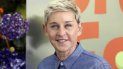 Ellen DeGeneres asiste al estreno de Green Eggs and Ham de Netflix, el 3 de noviembre de 2019, en Los Angeles. Ellen DeGeneres asiste al estreno de Green Eggs and Ham de Netflix, el 3 de noviembre de 2019, en Los Angeles.