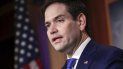 Senador Marco Rubio. Senador Marco Rubio.