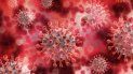 Imagen del coronavirus COVID-19. Imagen del coronavirus COVID-19.