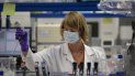 El anticuerpo fue sintetizado para su producción a escala industrial por los estadounidenses Lilly Research Laboratories, en asociación con AbCellera. El anticuerpo fue sintetizado para su producción a escala industrial por los estadounidenses Lilly Research Laboratories, en asociación con AbCellera.