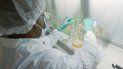 En esta foto de mayo de 2020 provista por la farmacéutica Eli Lilly, una investigadora ensaya posibles anticuerpos de COVID-19 en un laboratorio en Indianapolis. En esta foto de mayo de 2020 provista por la farmacéutica Eli Lilly, una investigadora ensaya posibles anticuerpos de COVID-19 en un laboratorio en Indianapolis.