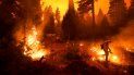 El bombero Ricardo Gomez combate un incendio forestal el domingo 6 de septiembre de 2020, en Shaver Lake, California. El bombero Ricardo Gomez combate un incendio forestal el domingo 6 de septiembre de 2020, en Shaver Lake, California.