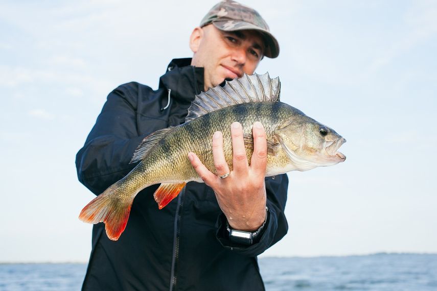 Temporada de pesca en Florida (imagen referencial).