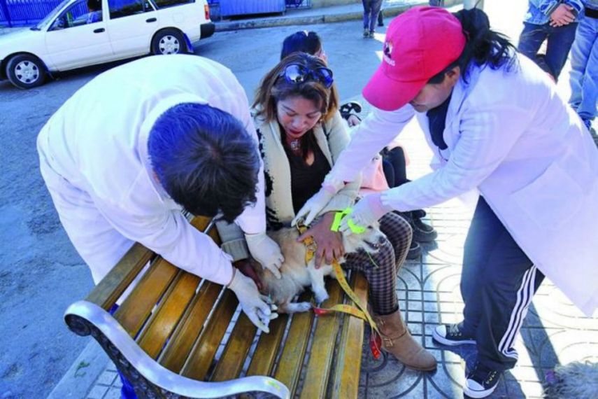 Varias familias llevaron a vacunar a sus animalitos en los distintos puestos.
