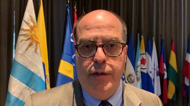 Fotografía del 29 de mayo de 2019 de Julio Borges, comisionado para Asuntos Exteriores del Gobierno del presidente Juan Guaidó en Venezuela.