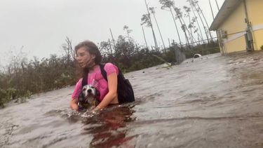 Julia Aylen se pasea por el agua hasta la cintura llevando a su perro mascota mientras es rescatada de su hogar inundado durante el huracán Dorian en Freeport, Bahamas, el martes 3 de septiembre de 2019. 