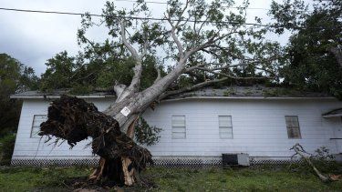 Un árbol derribado se ve sobre la iglesia Bethel después de que el huracán Beryl pasara por la zona, el lunes 8 de julio de 2024 en Van Vleck, Texas.&nbsp;