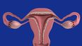El Día Mundial de la Prevención de Cáncer de Cuello Uterino es el 26 de marzo