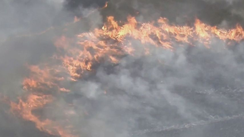 El funcionario apuntó a una fogata como posible causa del incendio, del que se ha contenido ya un 20% en un intento por frenar su expansión.