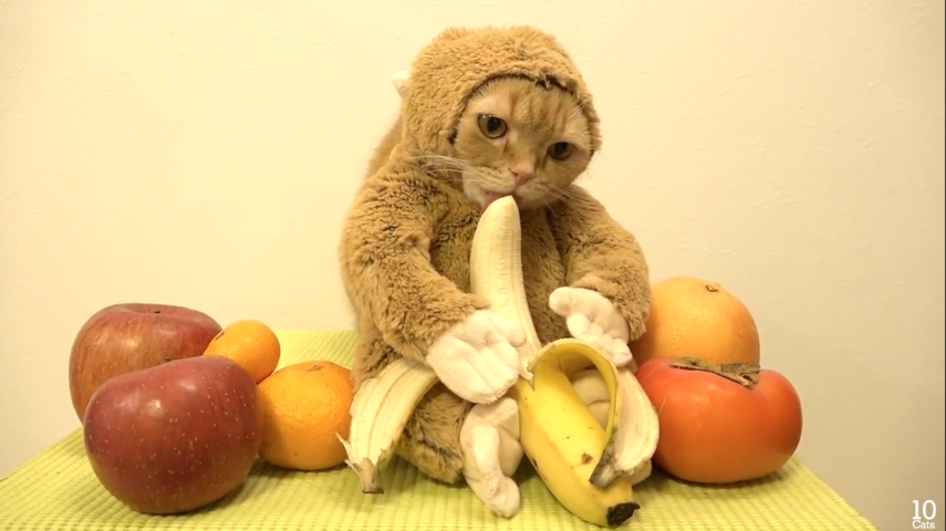 Captura del video que se ha vuelto viral en Youtube y en Facebook