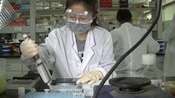 Cientificos trabajan en conseguir una vacuna contra el coronavirus.&nbsp;