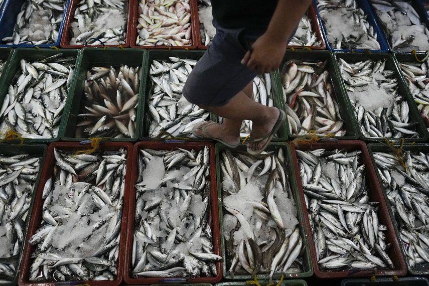Un hombre revisa pescado recién capturado en un mercado de Tacloban, Leyte, Filipinas, el 26 de octubre de 2022.&nbsp;