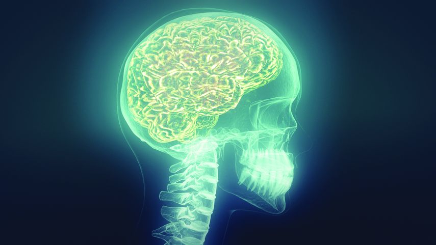 Amor quimica cerebral
