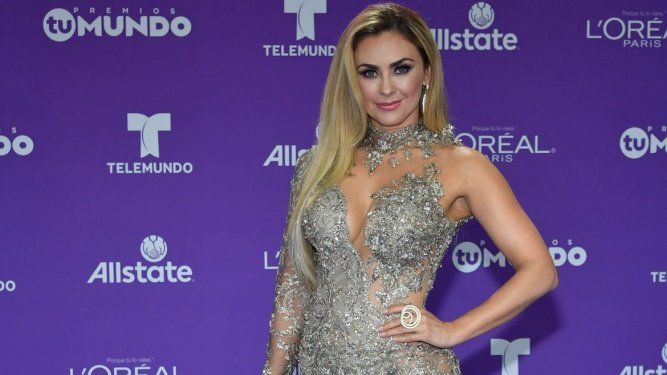 La actriz y cantante Aracely Arámbula.&nbsp;