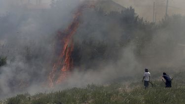 El incendio forestal declarado en Kalamos,&nbsp;Grecia, amenaza seriamente a unas viviendas de la zona.