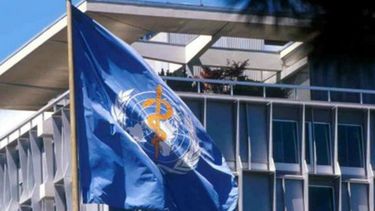 Bandera de la Organización Mundial de la Salud. 