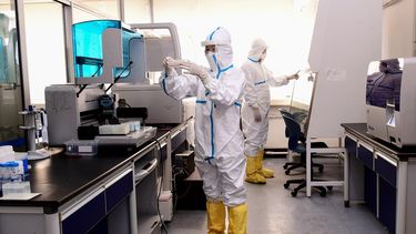 Técnicos realizan análisis con muestras del COVID-19, el coronavirus que ha generado alarma mundial, en un laboratorio en Shenyang, China, el 12 de febrero de 2020.