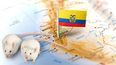 Científicos descubren cinco nuevas especies de ratones en Ecuador.