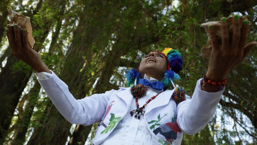 Con la celebración del Día Mundial de la Tierra se trata de concientizar a la humanidad sobre la necesidad de cuidar el ambiente (EFE)