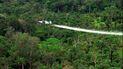 Un avión Turbo Thrush de la Policía Nacional rocía glifosato sobre la selva del sur de Colombia cerca de San José del Guaviare, el martes 6 de enero de 1998, en un esfuerzo por acabar con los cultivos ilegales de coca