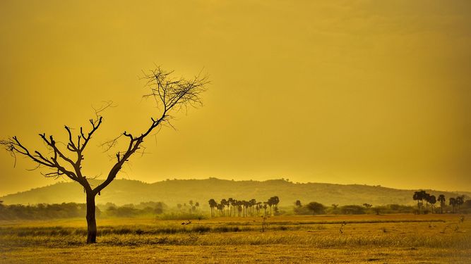 Podría suponer, en el peor de los casos, un calentamiento adicional de 0,3 grados centígrados a final de siglo, dijo hoy el director del Departamento de Investigación Atmosférica de la Organización Meteorológica Mundial (OMM), Deon Terblanche.