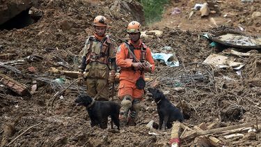 Los miembros del equipo de rescate de los servicios de bomberos y un perro buscan sobrevivientes después de un deslizamiento de tierra en Petrópolis, Brasil, el 16 de febrero de 2022.