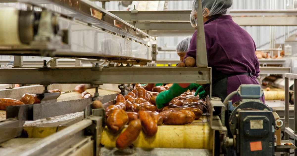Más de 7 millones de empleos disponibles en EEUU