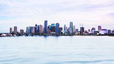 Basta mirar hacia el horizonte del downtown de Miami opara percibir el enjambre de edificaciones.