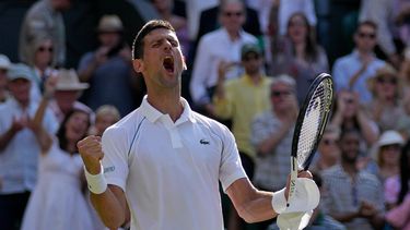 Novak Djokovic festeja su victoria ante Cameron Norrie en las semifinales del torneo de Wimbledon el 8 de julio del 2022. Avanzó a su octava final en el All England Club. El serbio ganó seis de las siete finales que lleva jugadas.&nbsp;