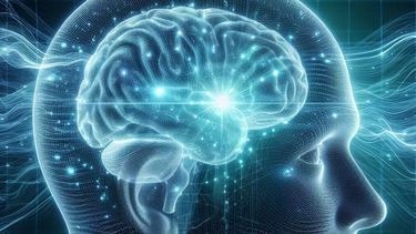 Las enfermedades cardiovasculares causan cerca de 10 millones de muertes en el mundo y representan la principal causa evitable de muerte prematura y discapacidad