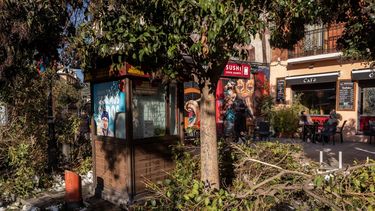 Ramas rotas se amontonan en las calles de Madrid, el jueves 14 de enero de 2021. Con montones de hielo y nieve todavía cubriendo la mayoría de sus calles, la capital española ha comenzado a lidiar con el problema de la basura y los escombros apilados en las calles.