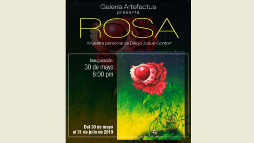 Rosa, muestra de Diego Josué Gontorr, se mantendrá en exhibición del 30 de mayo al 31 de julio de 2019, en la Galería Artefactus, ubicada en el 12302 SW 133rd CT. Miami, FL 33186.