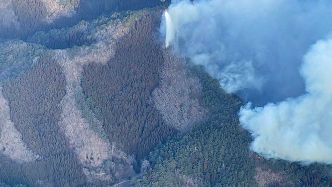 Ucrania denuncia importante incendio forestal en la zona radioactiva de Chernóbil tras la caída de un dron
