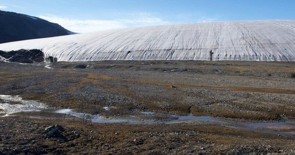 El retroceso de los glaciares acelera la extinción de especies