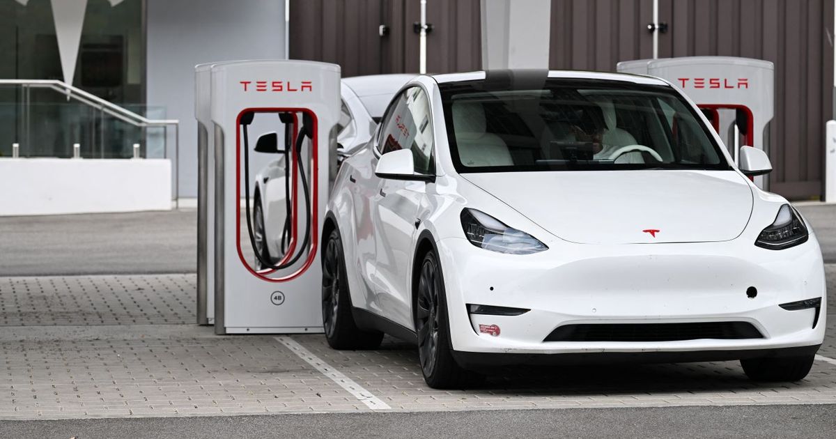 Tesla lanza versiones más económicas de Model 3 y Model Y, pero decepciona