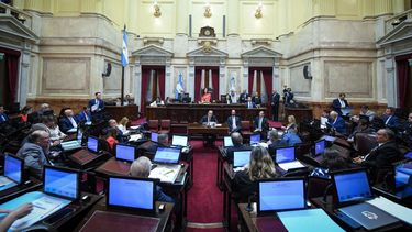 Sesión informativa en el Senado de Argentina.