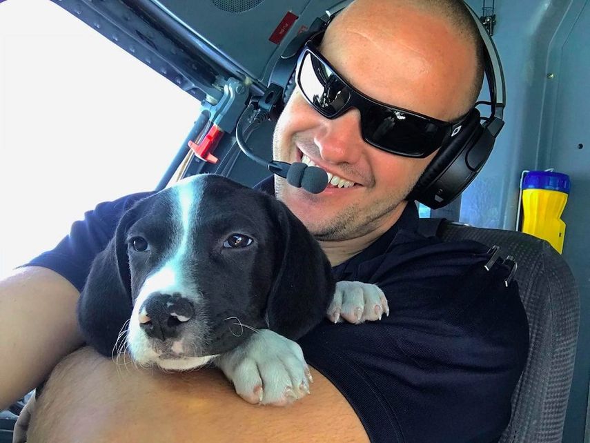 El piloto Derek Habrbaugh, de Wings of Rescue, en uno de los recientes vuelos con animales de Puerto Rico hasta la Florida. 