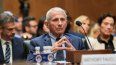 El director del Instituto Nacional de Alergia y Enfermedades Infecciosas (NIAID), Anthony Fauci, durante la pandemia, en la audiencia en el Comité de Seguridad Nacional y Asuntos Gubernamentales del Senado, el 29 de julio de 2026 en Washington, DC.