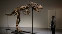 Un manipulador de arte observa un esqueleto de Gorgosaurus que mide 10 pies de alto (3,04 metros) mientras se presenta en Sothebys en Nueva York, el 5 de julio de 2022. Un manipulador de arte observa un esqueleto de Gorgosaurus que mide 10 pies de alto (3,04 metros) mientras se presenta en Sothebys en Nueva York, el 5 de julio de 2022.
