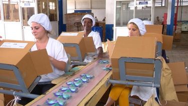 L&iacute;nea de producci&oacute;n de jab&oacute;n en Suchel.&nbsp;