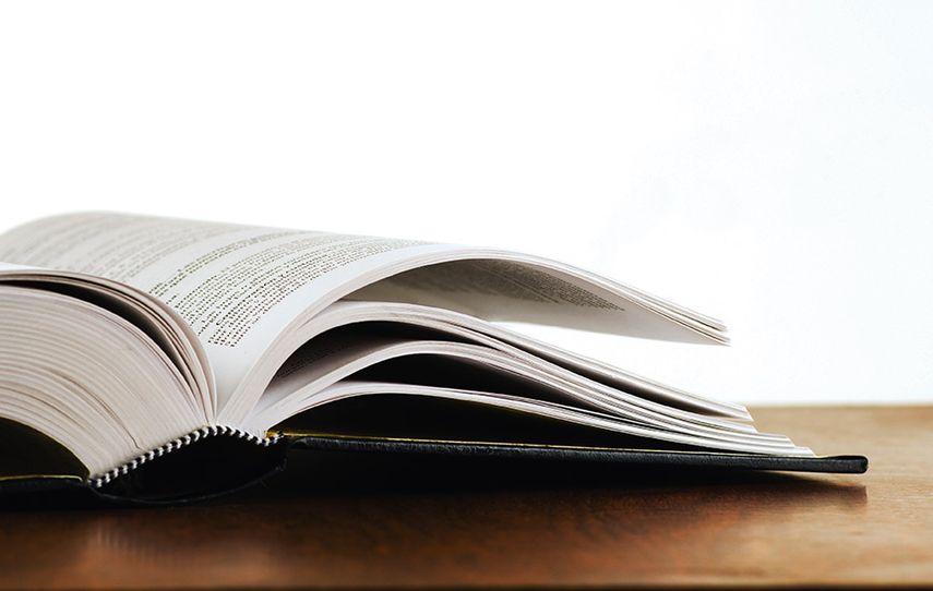 Hay presentaciones de libros, conferencias y homenajes. Incluso tenemos un panel sobre literatura digital”, manifestó la coordinadora del proyecto Idabell Rosales