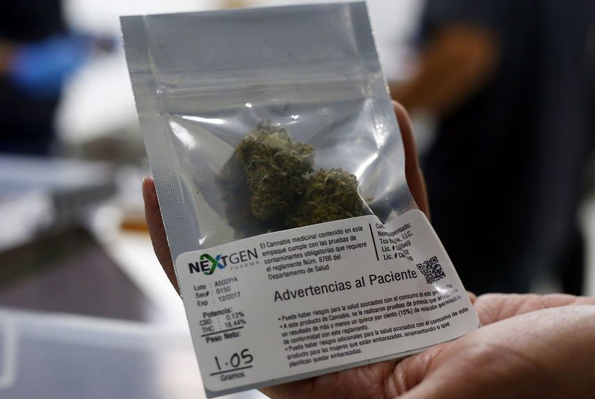 Un empleado de NextGen Pharma muestra una bolsa de marihuana medicinal.