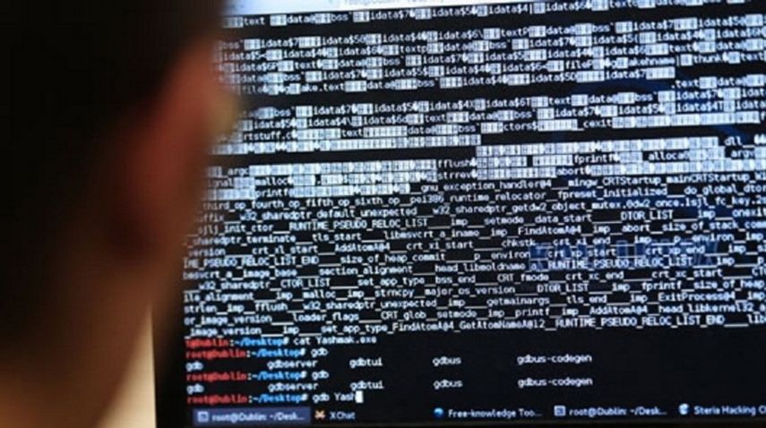 Más de 2000 contenidos en seis idiomas distintos y 52 plataformas digitales fueron interceptados debido a su contenido extremista, con el objetivo de remitirlos a los proveedores de estos servicios de Internet.