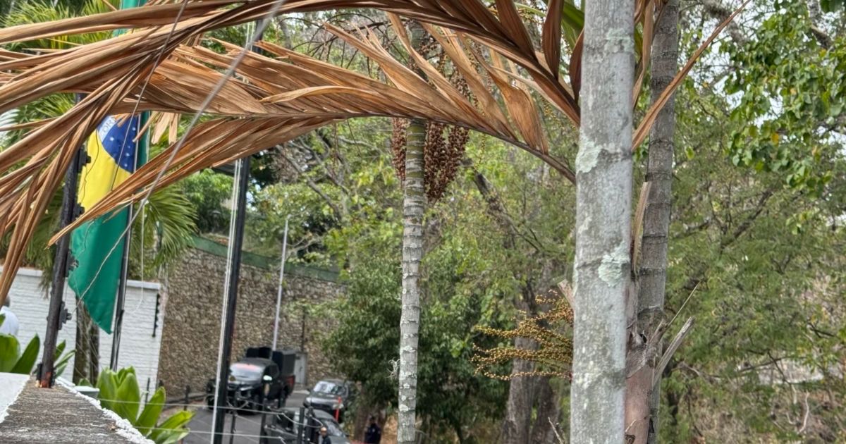 A un año de su encierro, opositores refugiados en embajada argentina se sienten abandonados