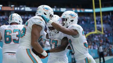 Los Dolphins de Miami se mantienen como firmes candidatos con su forma de juego