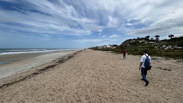 El Camino, Sanguastín, Florida.