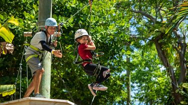Treetop Trekking Miami es una nueva propuesta recreacional en el parque Jungle Island.